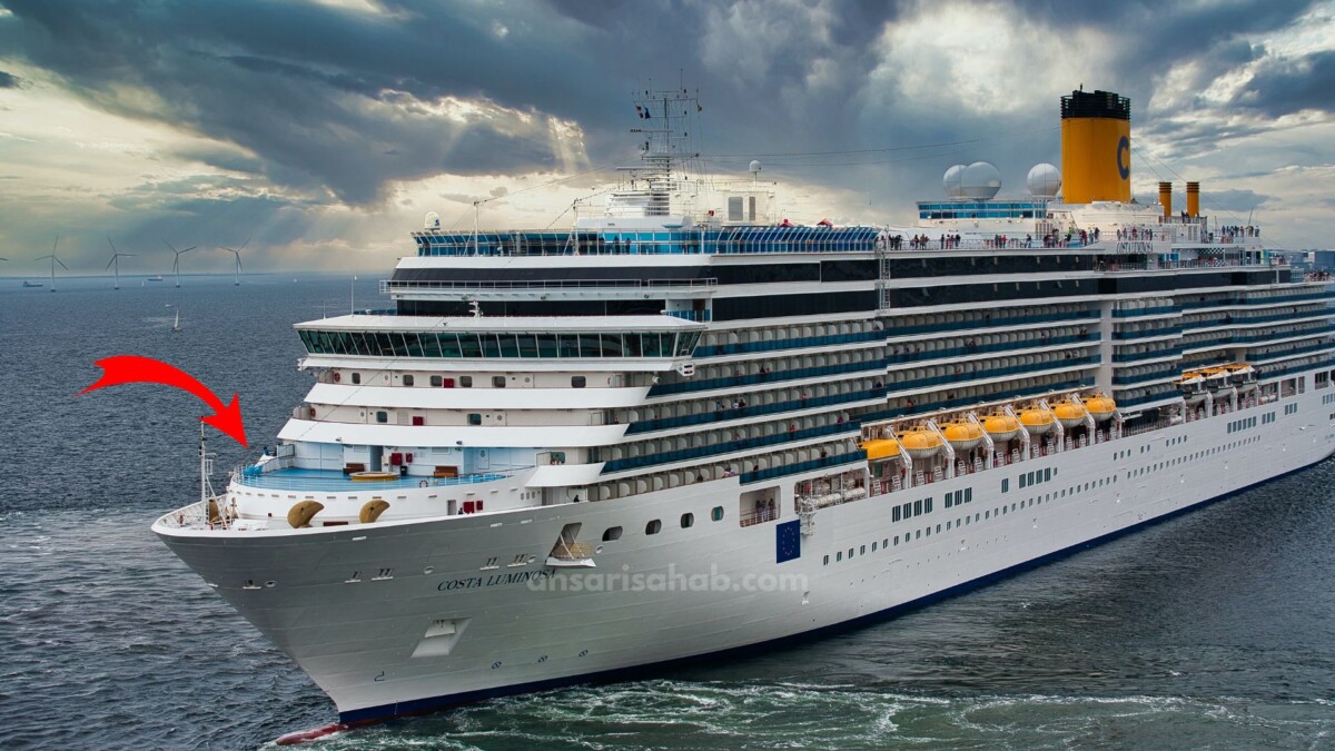 missing carnival cruise ship passenger