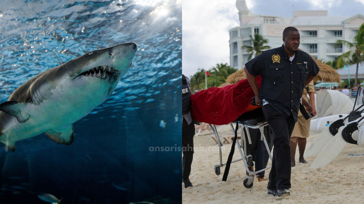Bahamas shark attack