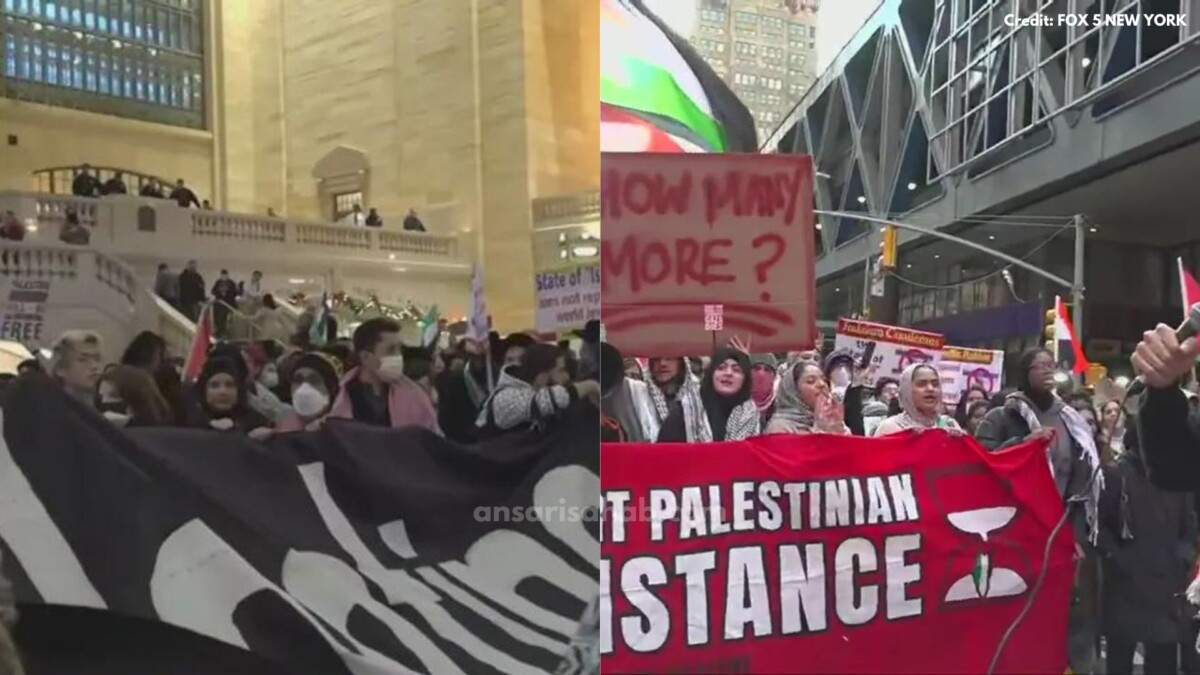 Pro palestinian protests new york city