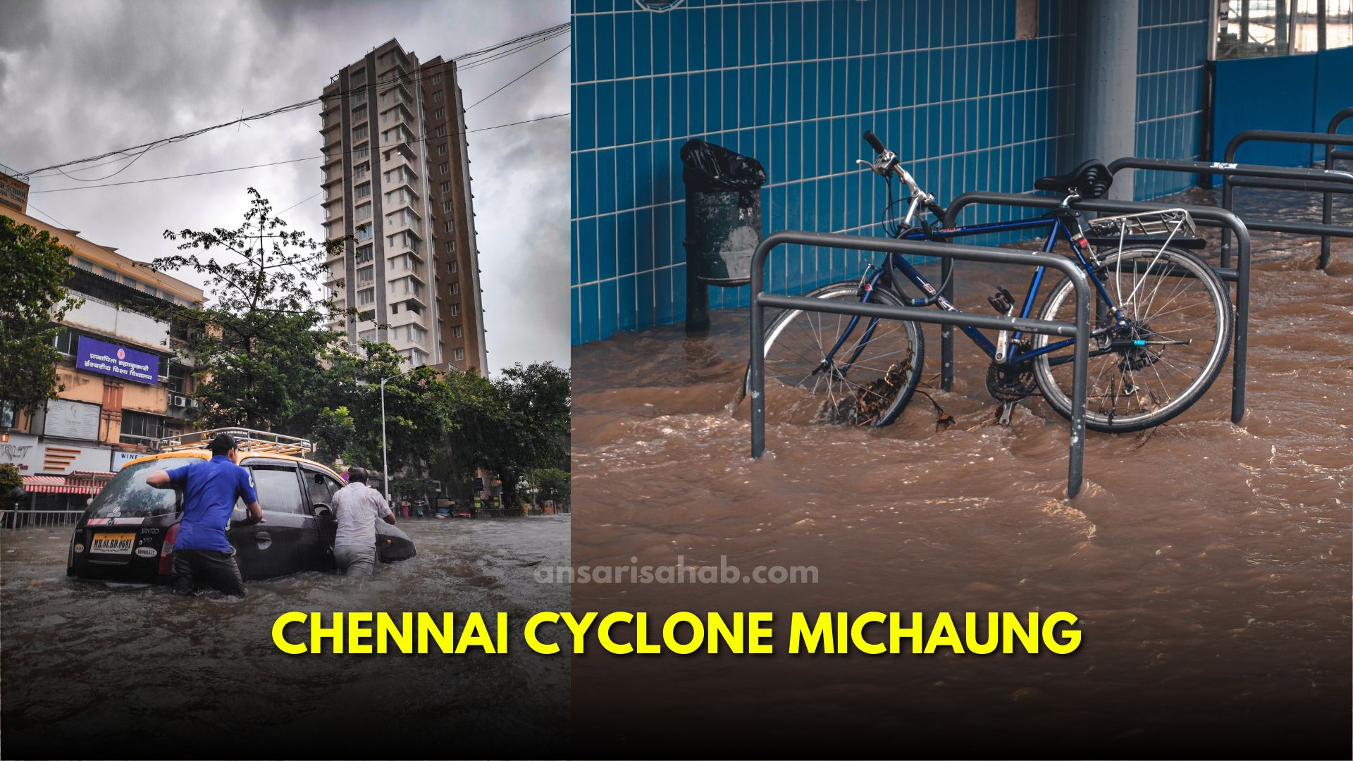 Cyclone Michaung Makes Landfall: Chennai Drenched, Crocodile Emerges ...