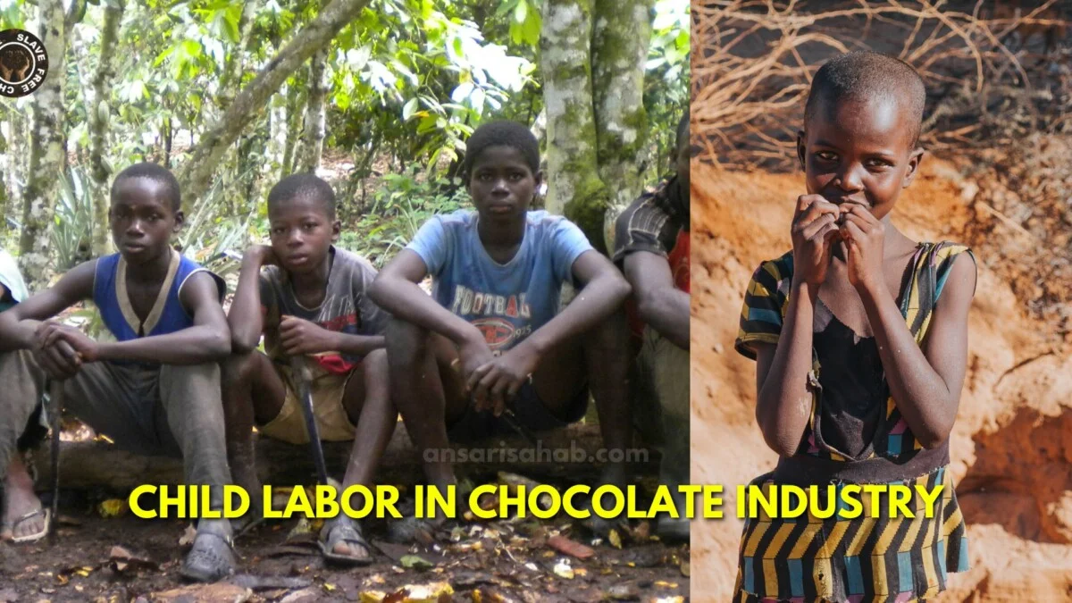 child labor cocoa industry