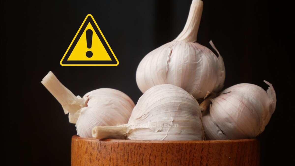 chinese garlic is a national security risk